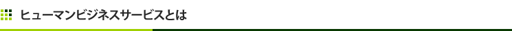 ヒューマンビジネスサービスとは